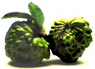 The Custard Apple